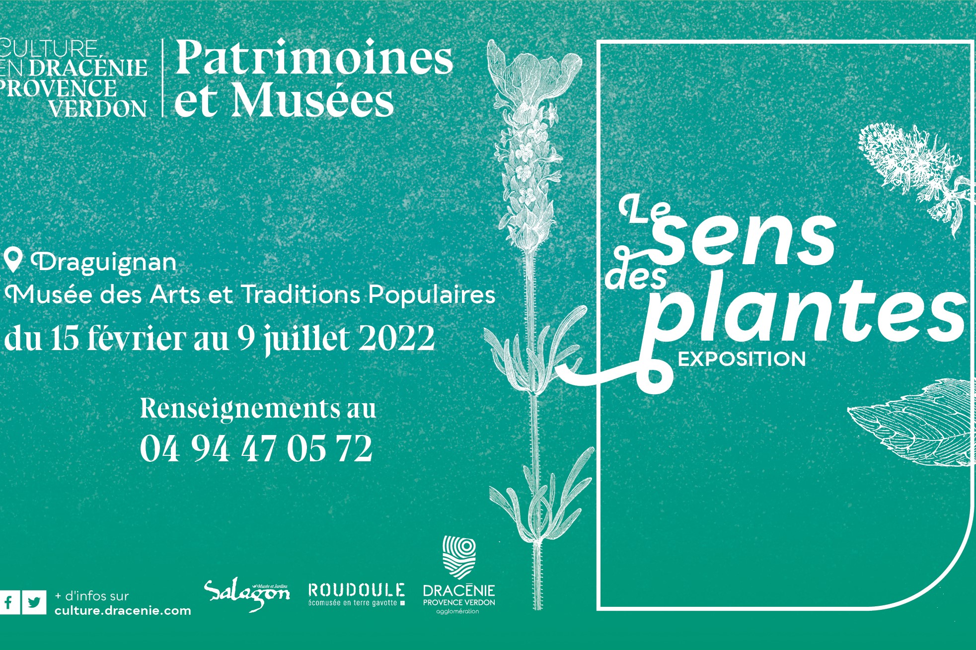 Exposition « Le sens des plantes » – Musée des Arts et Traditions Populaires à Draguignan