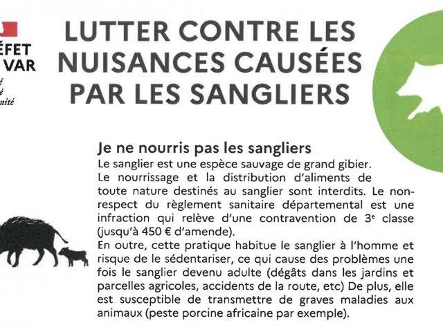 Lutter contre les nuisances provoquées par les sangliers