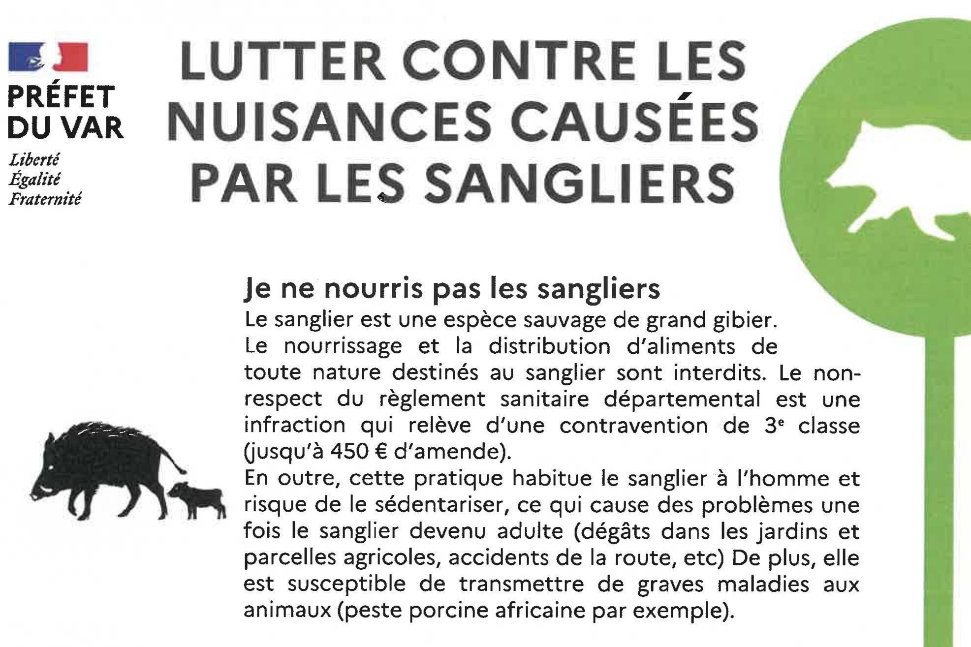 Lutter contre les nuisances provoquées par les sangliers